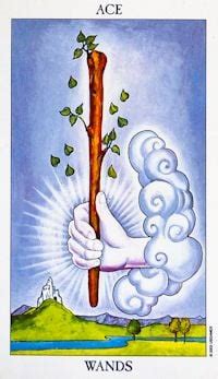 ace of wands as intentions|Understanding the Ace of Wands as Intentions in Tarot